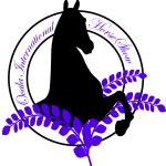 Ocala International Horse Show